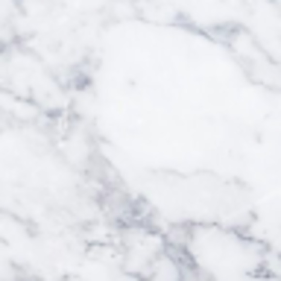 Meet your Posher, Zoey - Picture 1 of 1